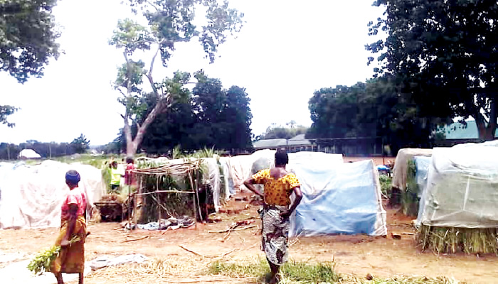 Women Journalists Make Case for Displaced Women, Children in Benue