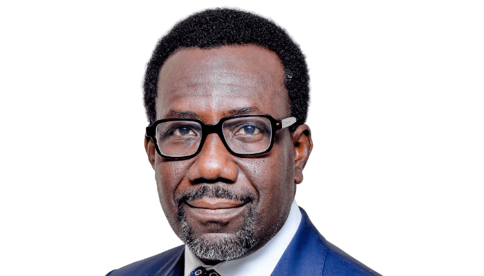 NAICOM Calls for Regional Insurance Collaboration to Bridge Climate Finance Gap 