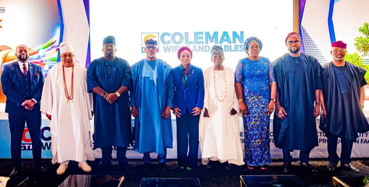 Nigeria unveils fibre optic plant