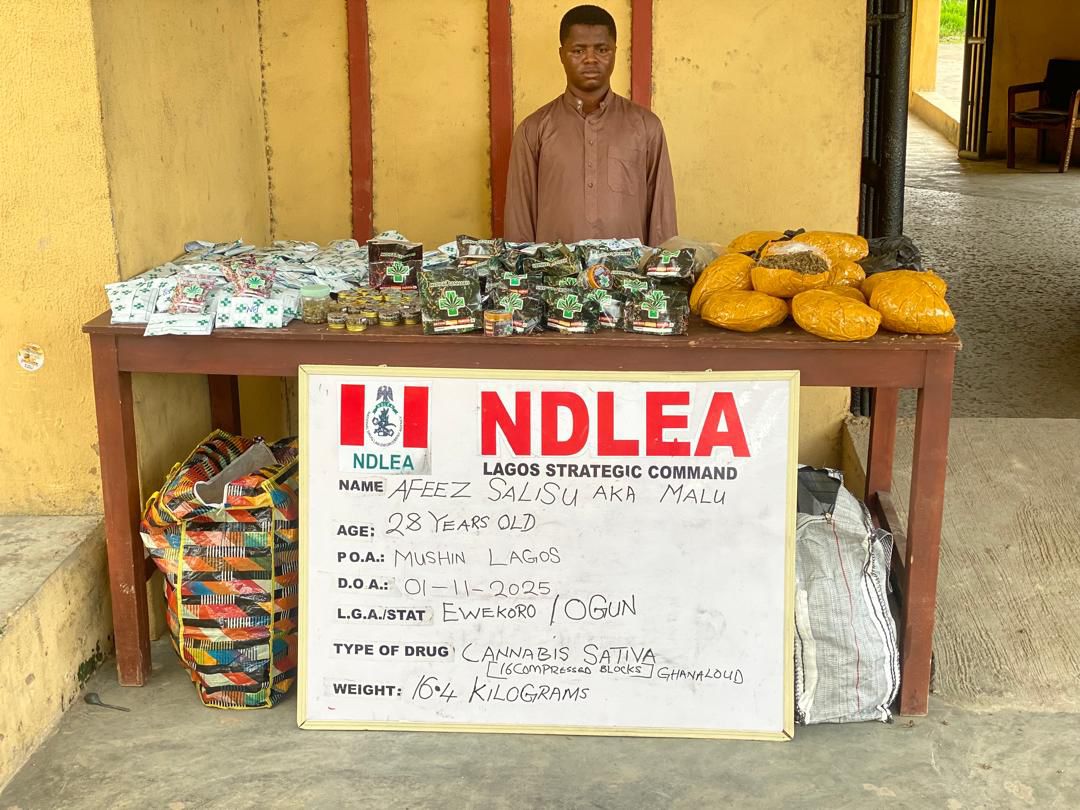 NDLEA Busts Fake Medicinal Cannabis, Warns Nigerians of Deadly Products