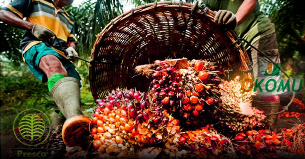 Presco, Okomu Oil Close 2025 with Record Profits Despite Cost Pressures